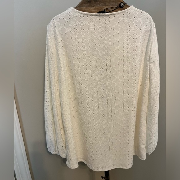 Pair of two Adrianna Papell Eyelet tops - Picture 7 of 13